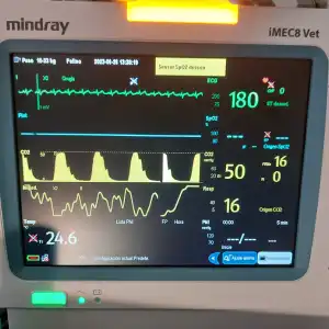 Tecnología de Última Generación en Consultorio Veterinario Ebro: Cuidado Superior