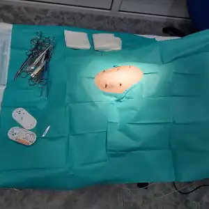 Gato en radiografía en Consultorio Veterinario Ebro: Diagnóstico preciso