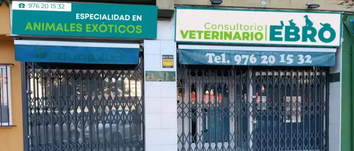 Centro Veterinario Ebro: Compromiso con la Salud Animal